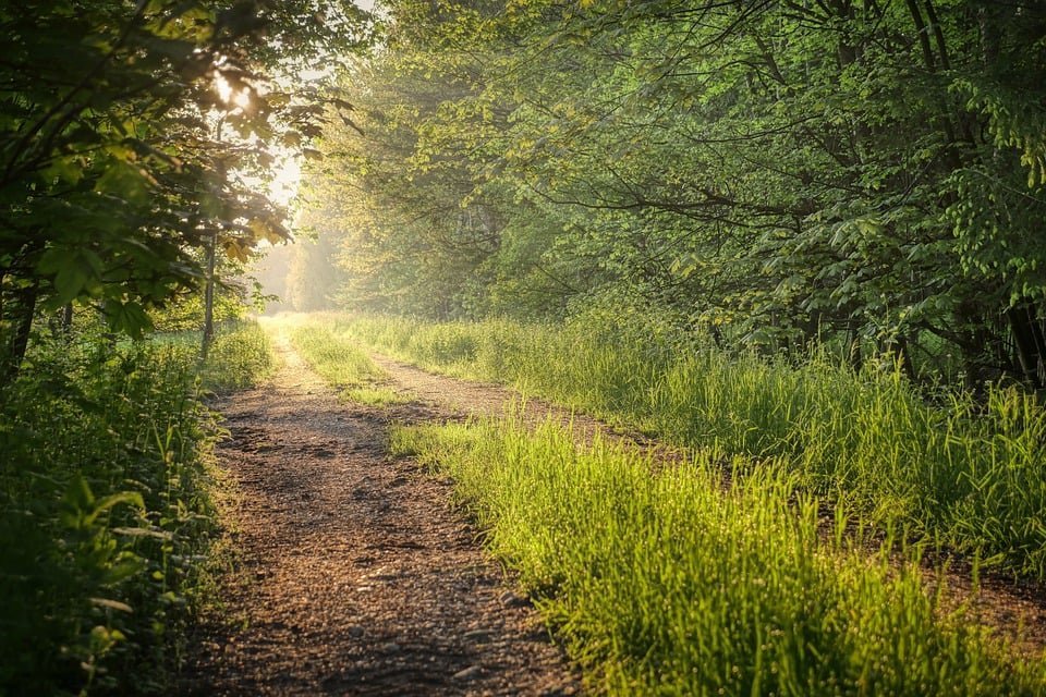 Your Path to Justice: A Reliable Personal Injury Attorney in Atlanta